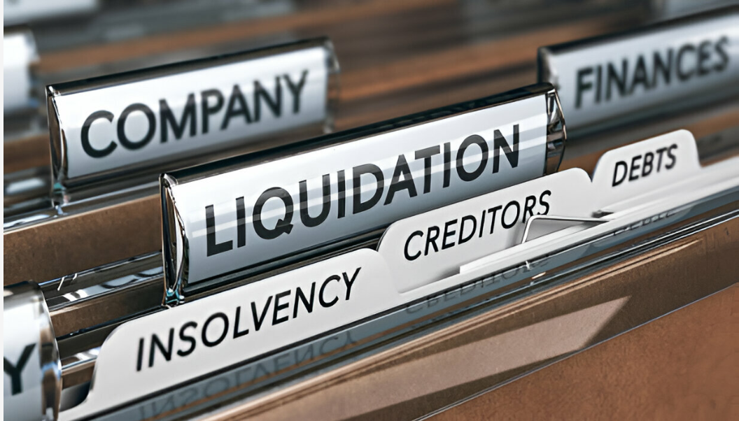 Essential Guidelines for Company Liquidation